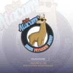 Creación de Logotipo - Imagen 8