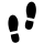 Choapino